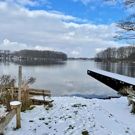 Seerose Am See, Dummer