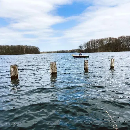 Seerose Am See,